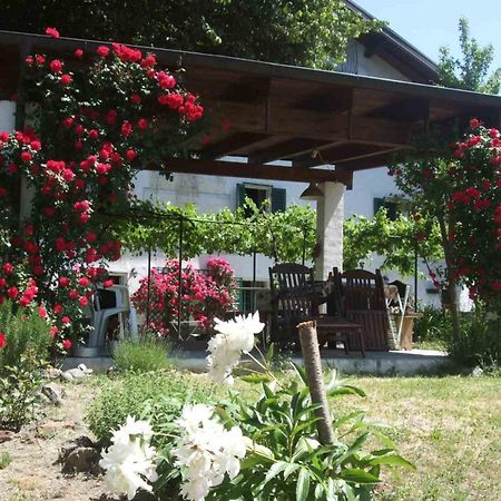 Casa Di Alfredo B&B - Citr9039 Mioglia Kültér fotó