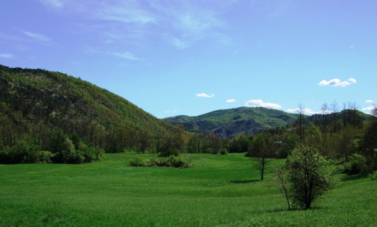 Casa Di Alfredo B&B - Citr9039 Mioglia Kültér fotó